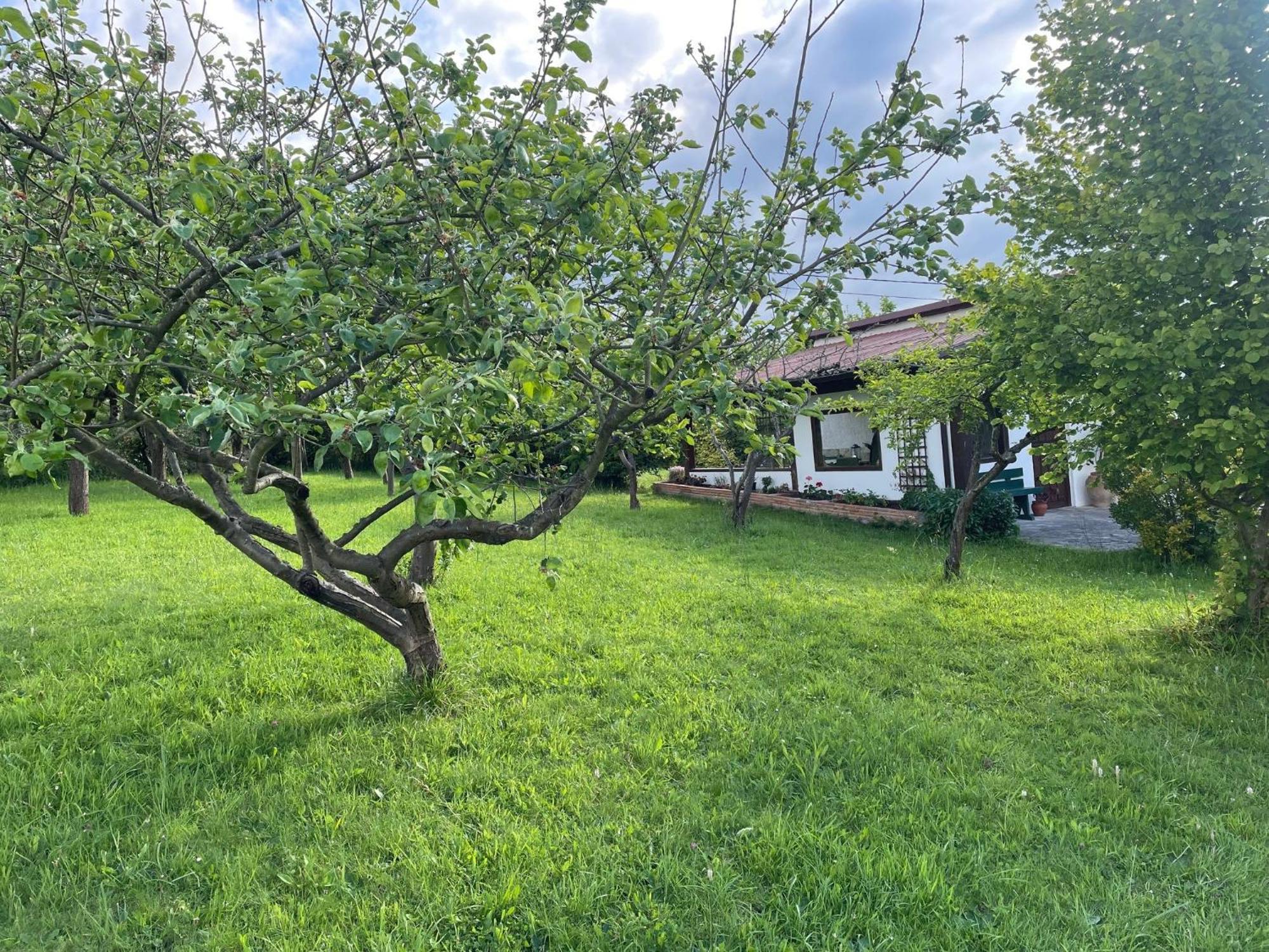 Casa Benjamin Villa Oviedo Exteriör bild