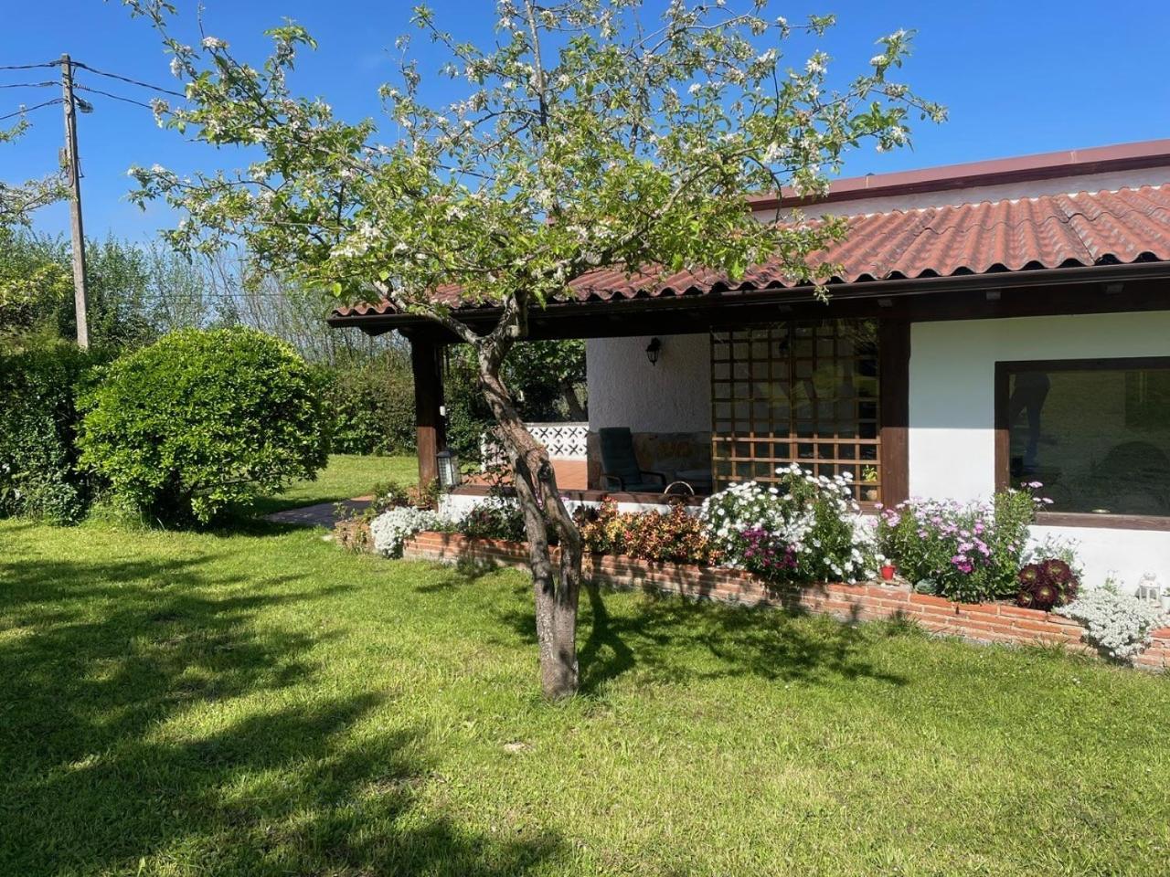 Casa Benjamin Villa Oviedo Exteriör bild